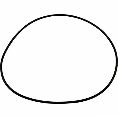 Seal Plate O-Ring for PB4-60Q Halcyon Booster Pump, Replacement for Polaris