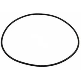 Backplate O-Ring for PB4-60 Booster Pump, Replacement for Polaris