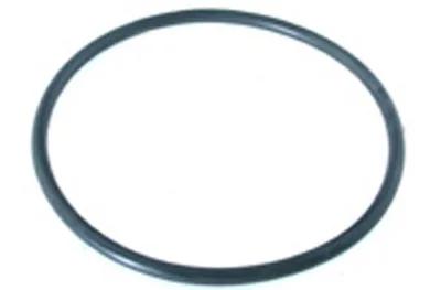 Pump Lid O-Ring, 6-Inch ID, 6-1/2-Inch OD, for Waterace Pumps