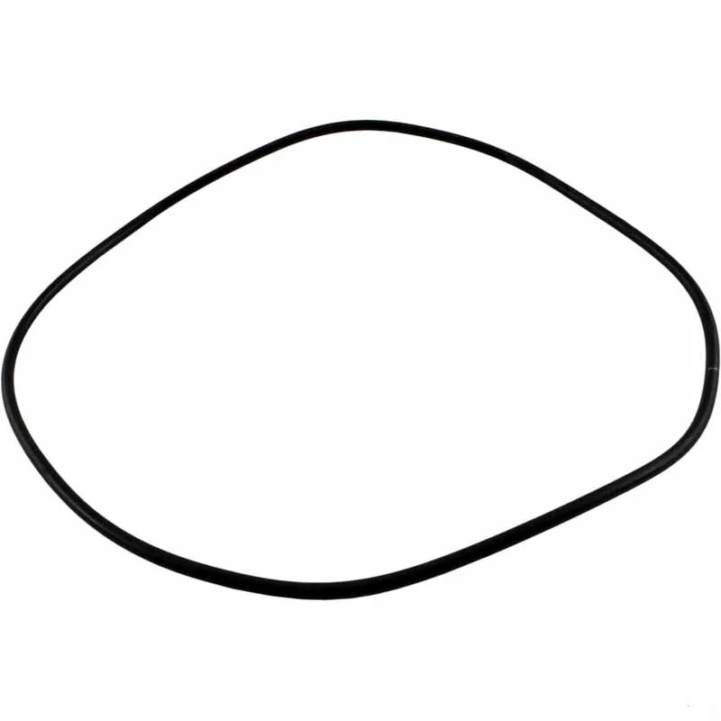 Backplate O-Ring Gasket, Replacement for Jandy Pumps