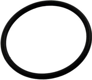 O-Ring, Compatible with Aqua-Flo