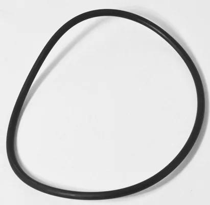 Pot Lid O-Ring for PHP and PHPU Series, Replacement for Jandy