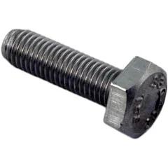 Bracket Bolt, Replacement for Waterco HydroStorm Pumps