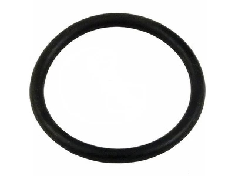 O-Ring for ANT, MLW, PAC and SWQ Pumps