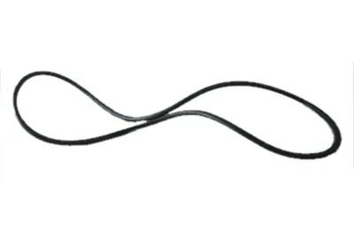 Filter Lid O-Ring, Replacement for Astral Filters