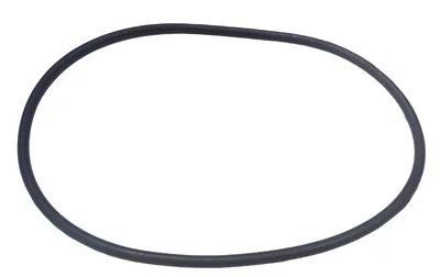 Valve Body to Tank O-Ring, Replacement for Astral Millennium Filter
