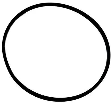 O-Ring, 2-Inch, Compatible with Hayward Super Star Clear Filter