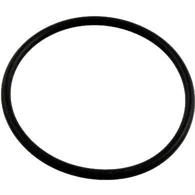 O-Ring, Compatible with Astral