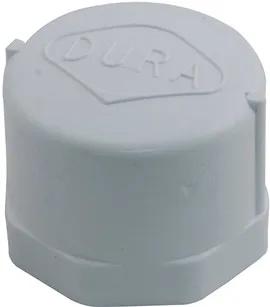 FIPT Cap, 1-Inch, Compatible with Lasco Fittings