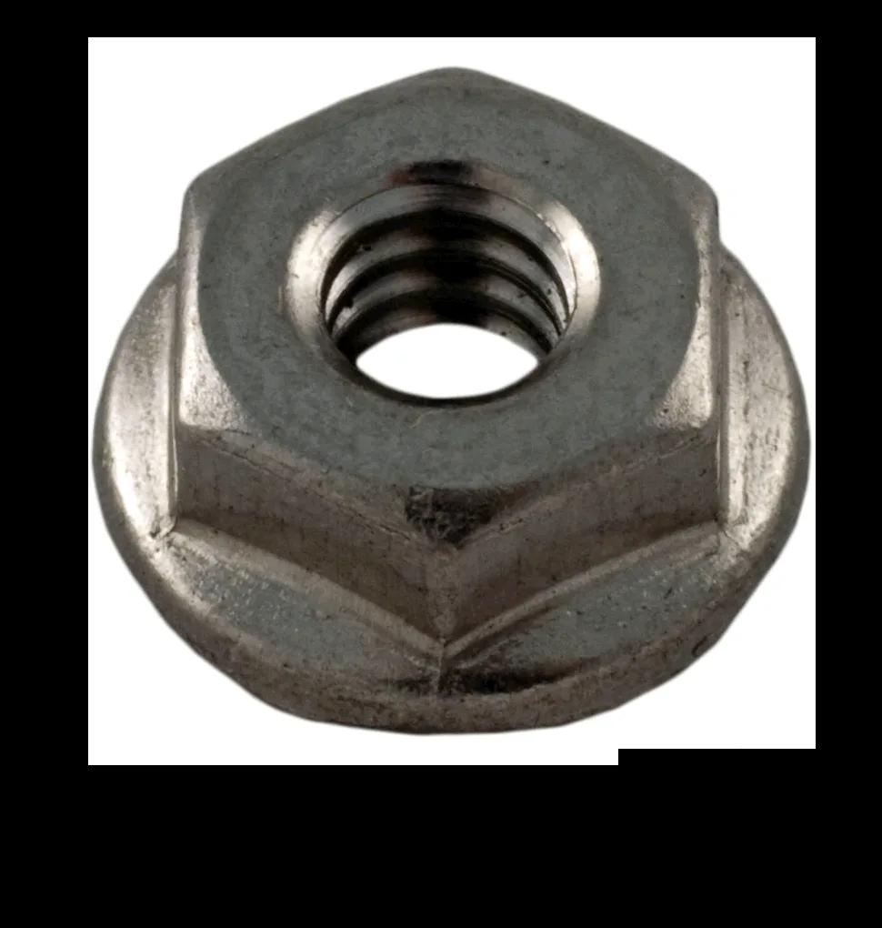 Serrated Flange Nut, 10-24, Stainless Steel, Replacement for Pentair