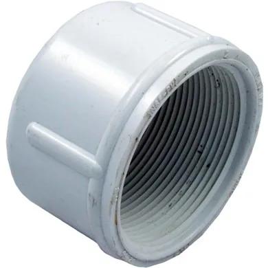 PVC Cap, 2-Inch FPT