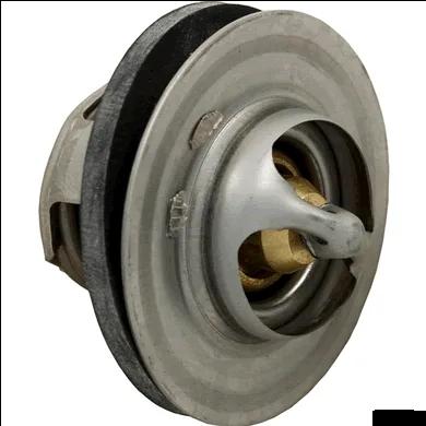 Unitherm Governor for Polymer Heat Exchanger, Replacement for Raypak