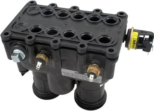 Heater Manifold Assembly for Max-E-Therm SR333, Compatible with Sta-Rite