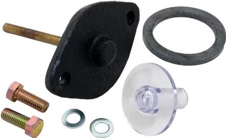 Bypass Assembly, 2-Inch, Replacement for Teledyne Laars