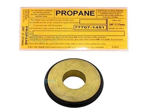 Gas Conversion Kit, Propane to Natural Gas, Compatible with Pentair MasterTemp 125 Heater