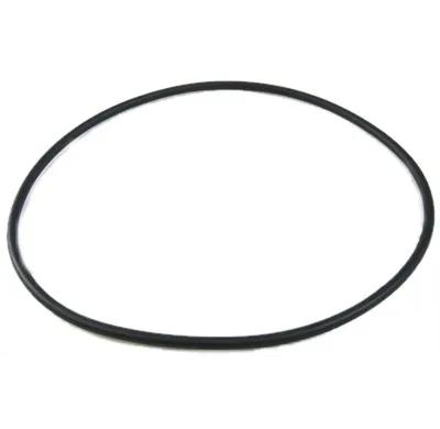 Lid O-Ring for 22355 Multiport Valve