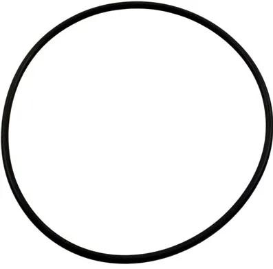 O-Ring, 6-3/4-Inch ID, 3/16-Inch, Compatible with Jandy SFTM Top Mount Valves