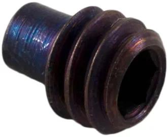 Set Screw, 1/4-20 x 5/16-Inch, Stainless Steel, for A Series Pump Shafts