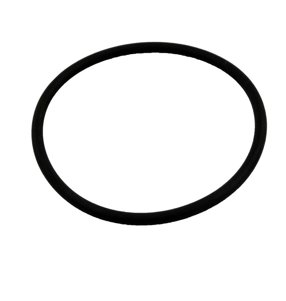Trap Cover O-Ring, 5-Inch, for Aqua-Flo A Series Pumps
