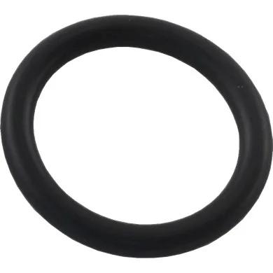 Gasket, Compatible with Astral Millenium Side Mount Sand Filter
