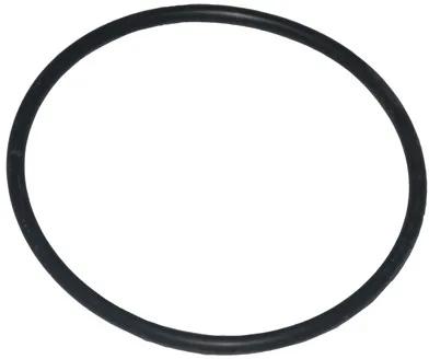 O-Ring, Replacement for Waterco O-290