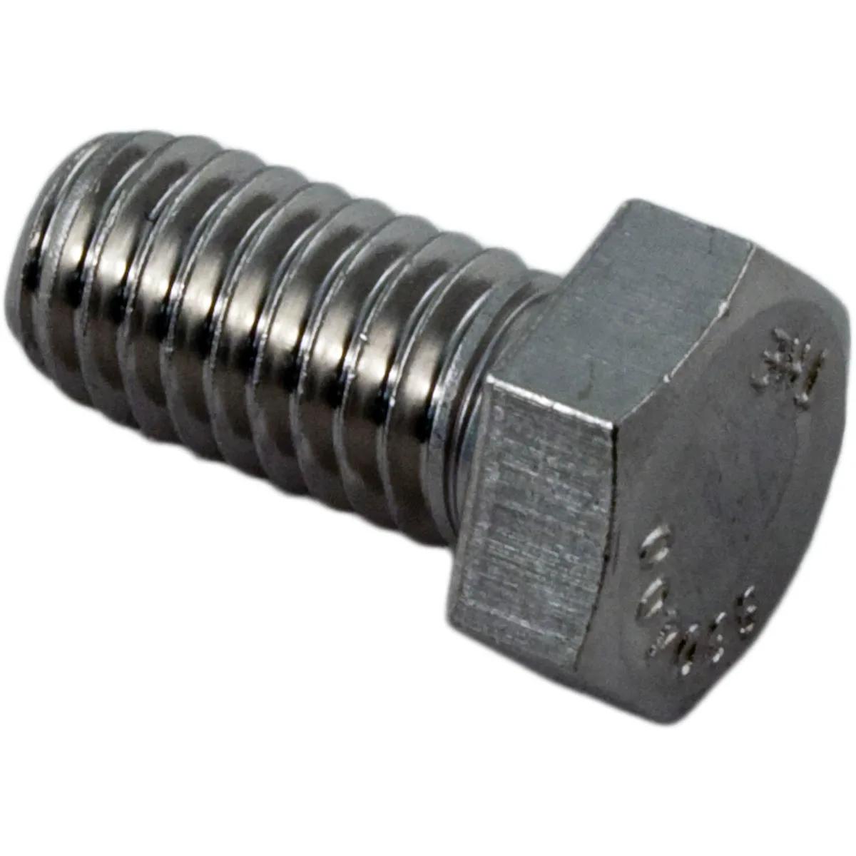 Motor Bolt, Replacement for Waterco HydroStorm Pumps
