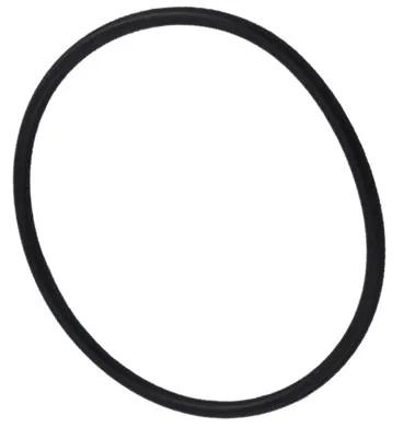Filter O-Ring, 7.5-Inch ID, Replacement for Astral Filters