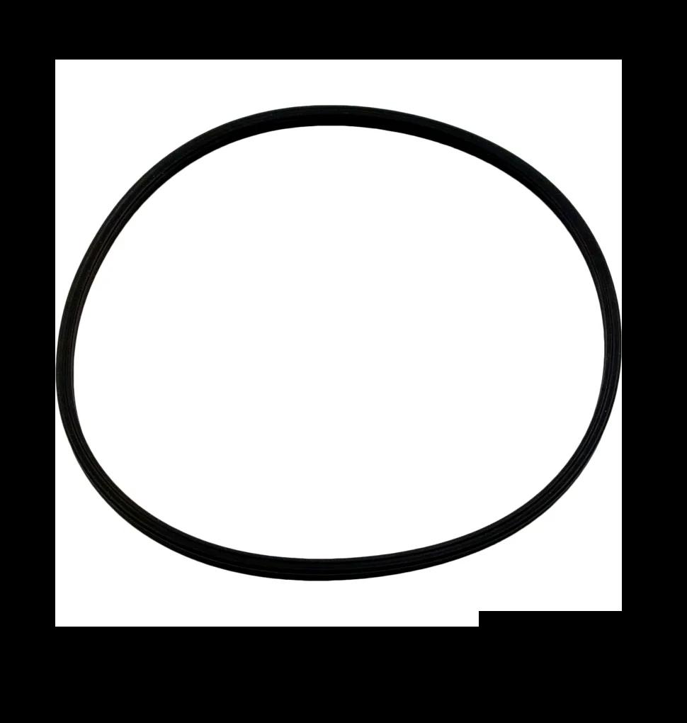 Lid Quad Ring, O-389, for S/M Multiport Valves, Replacement for Pentair