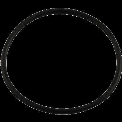 Sight Glass O-Ring, Replacement for Pentair