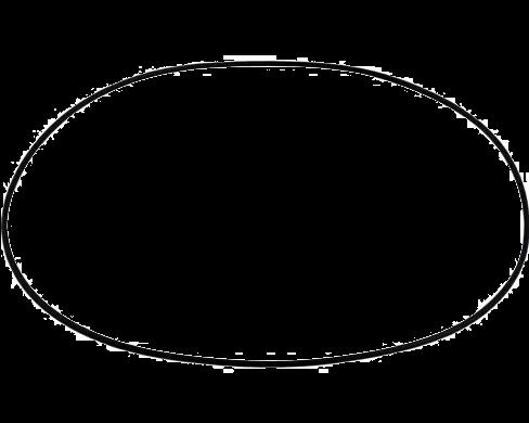 Lid O-Ring for M-Series, Replacement for Pentair