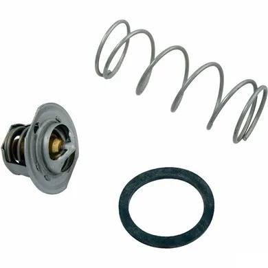 Unitherm Governor, Replacement for Raypak