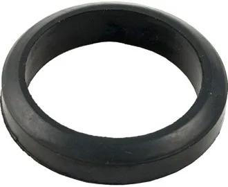 Flange Gasket, 2-Inch, Replacement for Teledyne Laars