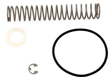 Bypass Spring, Replacement for Teledyne Laars Heaters