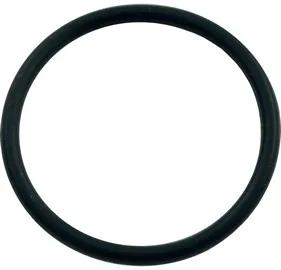 O-Ring for Aqua-Flo Tub-Master TMCP Pumps