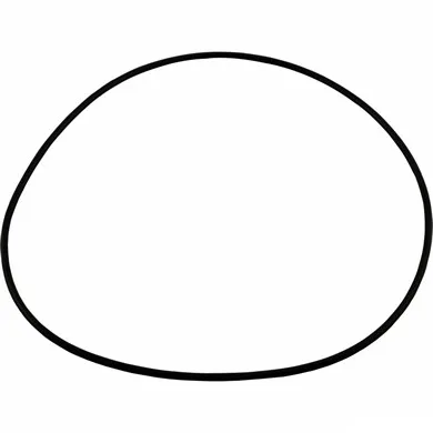 Seal Plate O-Ring for PB4-60Q Halcyon Booster Pump, Replacement for Polaris