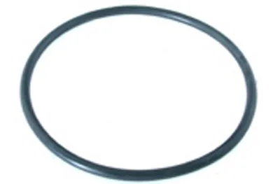 Pump Lid O-Ring, 6-Inch ID, 6-1/2-Inch OD, for Waterace Pumps