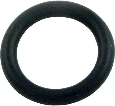 Shaft O-Ring for PB4-60 Booster Pump