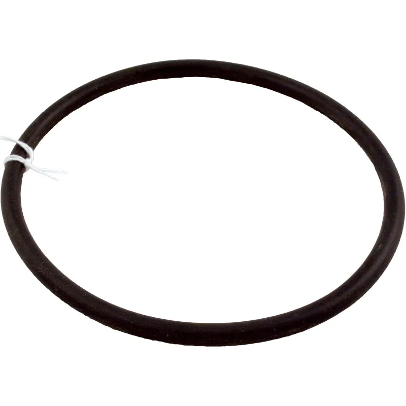 Trap Lid O-Ring, 5-Inch, for CFA Series Pumps, Compatible with Sta-Rite