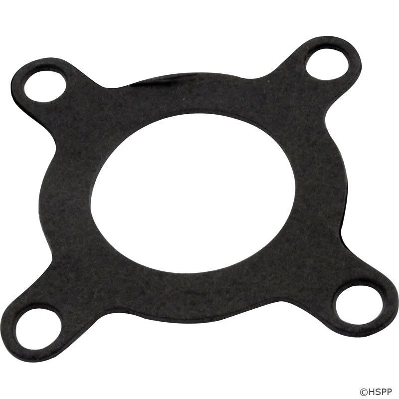 Pump Gasket for AF12, Replacement for Aladdin