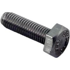 Bracket Bolt, Replacement for Waterco HydroStorm Pumps