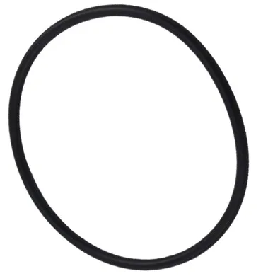 Filter O-Ring, 7.5-Inch ID, Replacement for Astral Filters