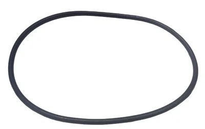 Valve Body to Tank O-Ring, Replacement for Astral Millennium Filter