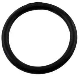 Pressure Gauge O-Ring, Replacement for Astral