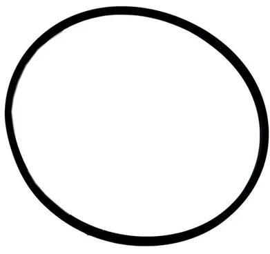 O-Ring, 2-Inch, Compatible with Hayward Super Star Clear Filter
