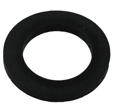 Plug O-Ring, Compatible with Astral
