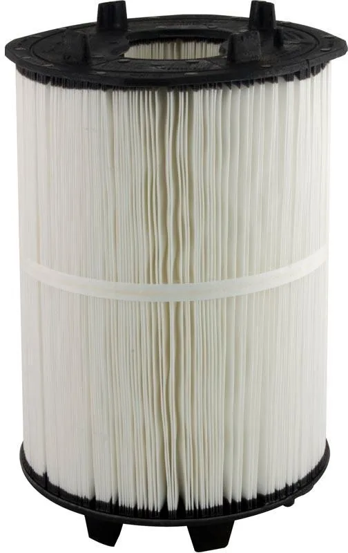 Filter Cartridge, 125 Sq Ft, for PLM125 Filter, Compatible with Sta-Rite