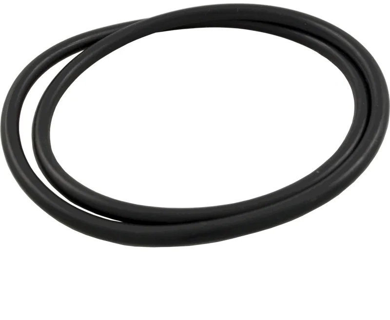 Closure O-Ring, 5-3/4-Inch ID, Replacement for Pentair Tagelus and Triton II Filters