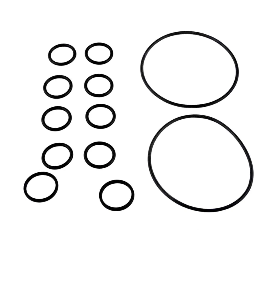 O-Ring Kit for 8034J and 8034 2-in-1 Backwash Valves, Compatible with Jandy