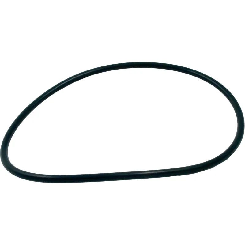 Valve O-Ring, 6-1/2-Inch ID x 3/16-Inch, for 2-Inch Multiport Valves
