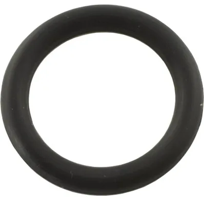 Rotor Shaft O-Ring, Compatible with Purex (Pentair)